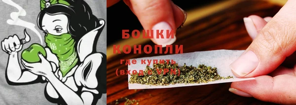 PSILOCYBIN Абаза