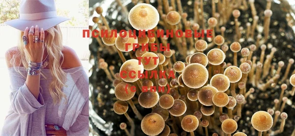 прущая мука Лабытнанги