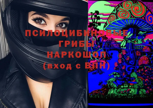 индика Абдулино