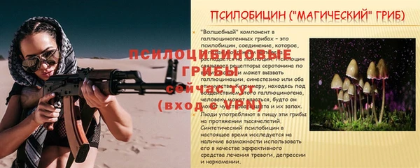 apvp Абинск