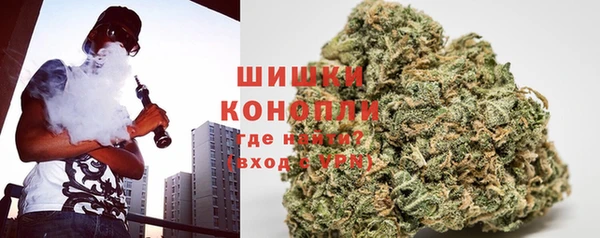 PSILOCYBIN Абаза