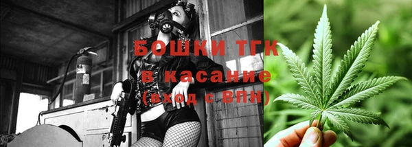 PSILOCYBIN Абаза