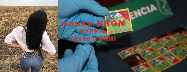 индика Абдулино