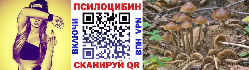 Псилоцибиновые грибы ЛСД  купить закладку  Стерлитамак 