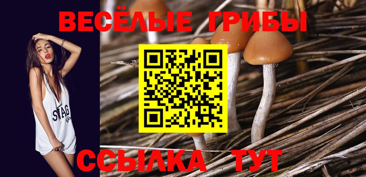 Псилоцибиновые грибы Magic Shrooms Стерлитамак